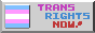 Trans Flag next to multi-coloured text 'Trans Rights Now'
